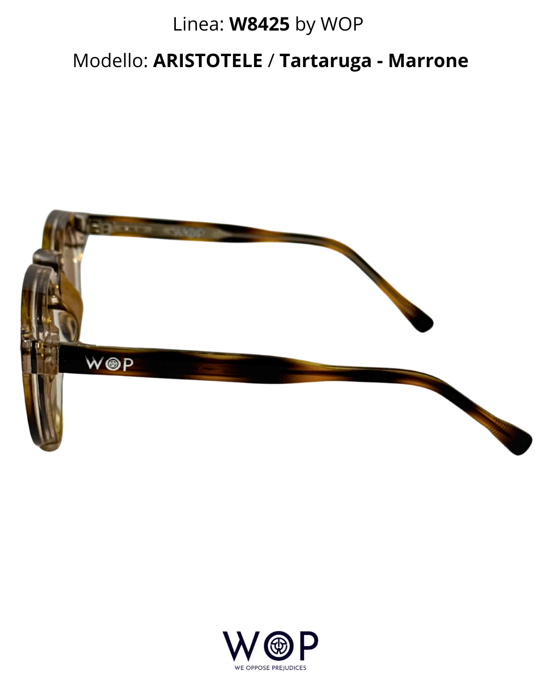 ARISTOTELE / Tartaruga - Marrone