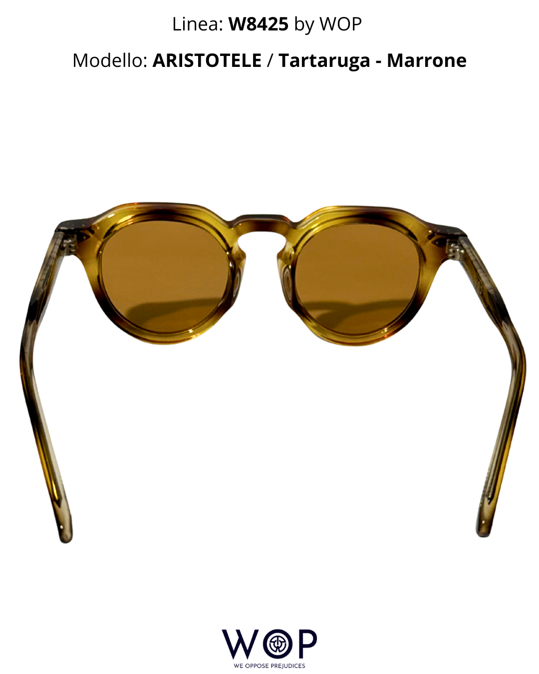 ARISTOTELE / Tartaruga - Marrone