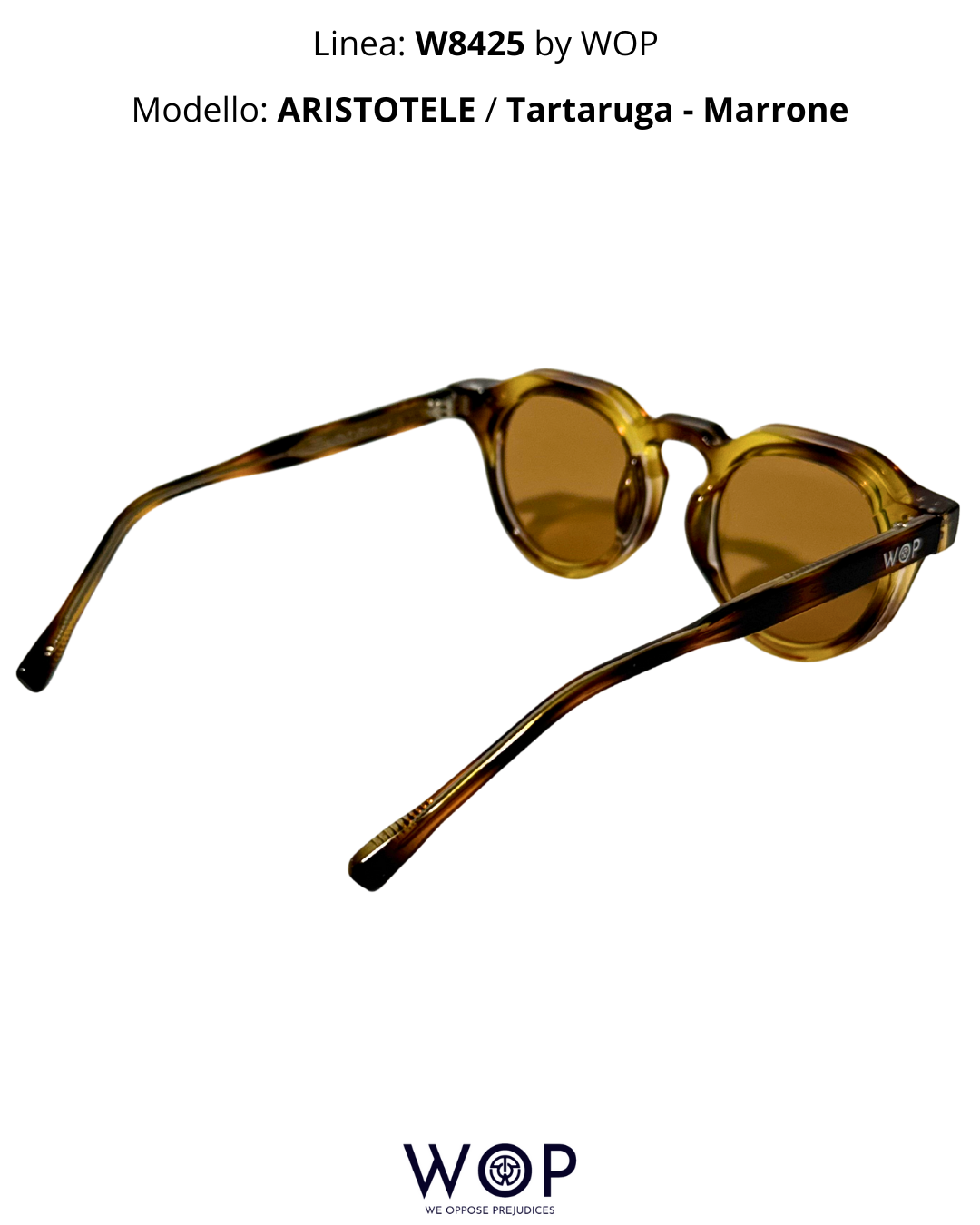 ARISTOTELE / Tartaruga - Marrone