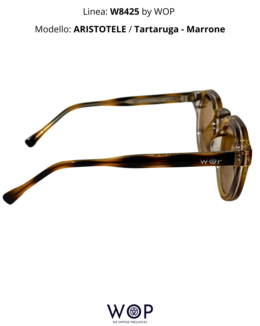 ARISTOTELE / Tartaruga - Marrone