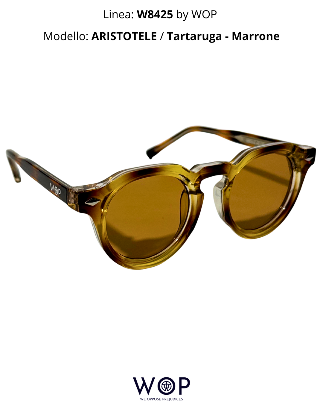 ARISTOTELE / Tartaruga - Marrone